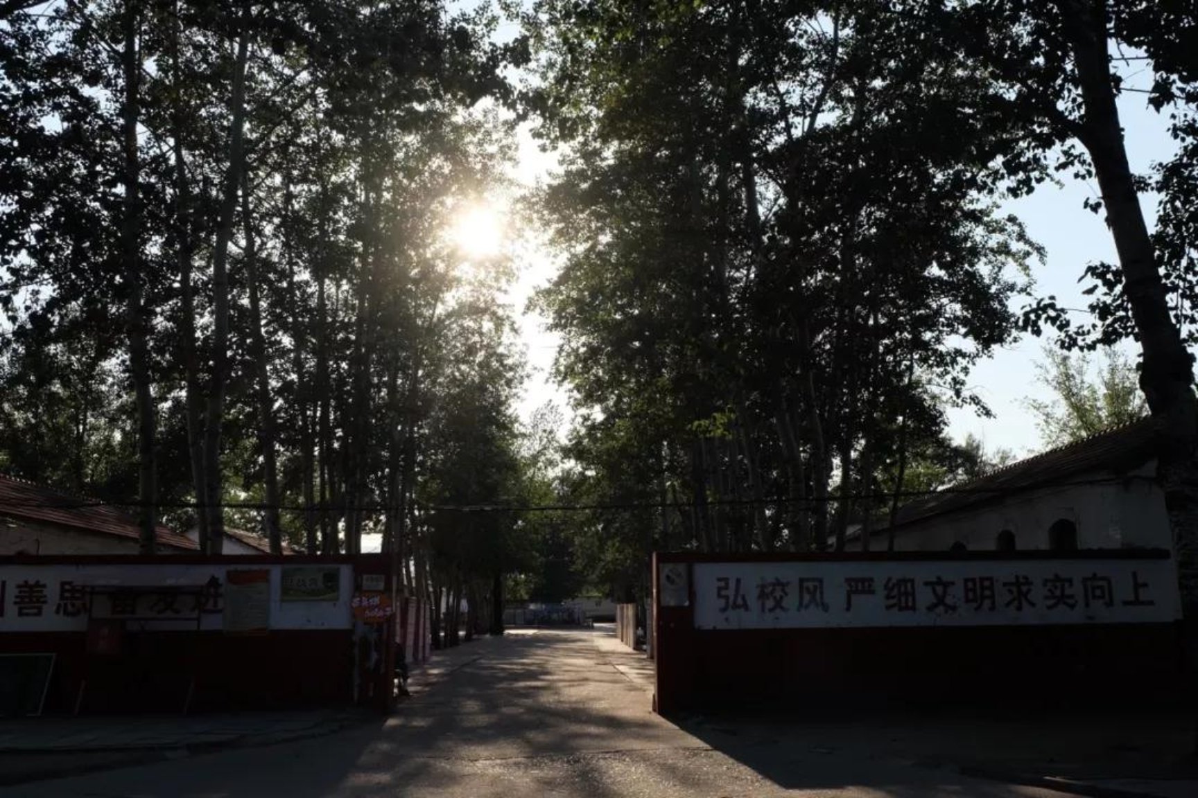 咪咕体育手机版图片