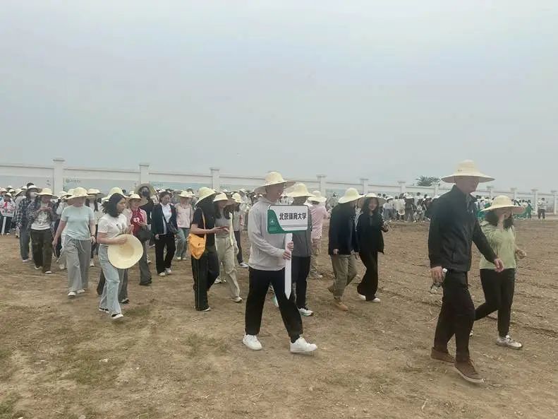 咪咕体育核心通道